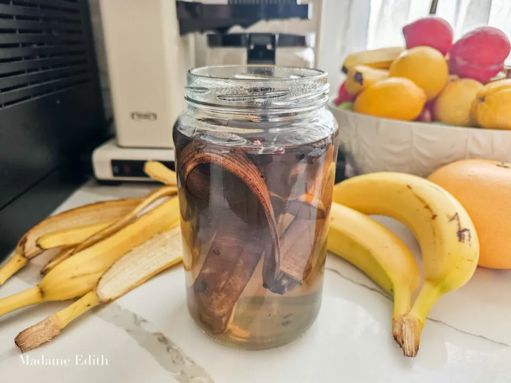 Zdjęcie Jaki nawóz do bananowców zapewni im zdrowy wzrost i owocowanie?