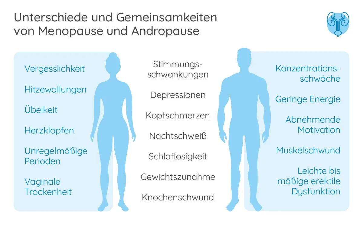 Zdjęcie Symptome Wechseljahre Mann: Erkennen Sie die Anzeichen und Risiken