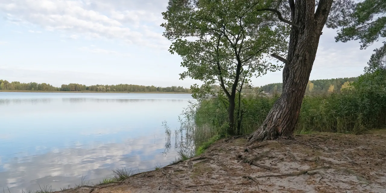Zdjęcie Jezioro Bialskie - odkryj tajemnice i atrakcje tego pięknego miejsca