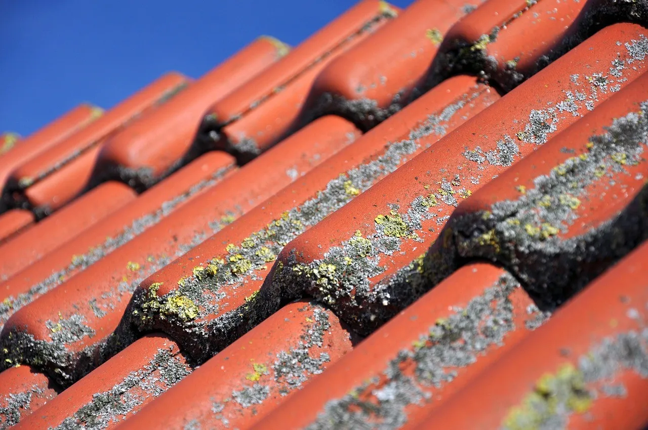 Zdjęcie Jak skutecznie zaimpregnować dachówkę ceramiczną - poradnik