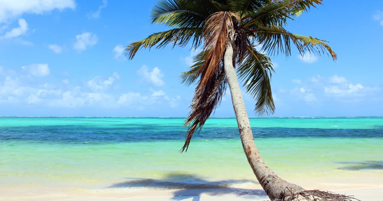 Zdjęcie Dominikana: Najpiękniejsze miejsca przewodnik po raju