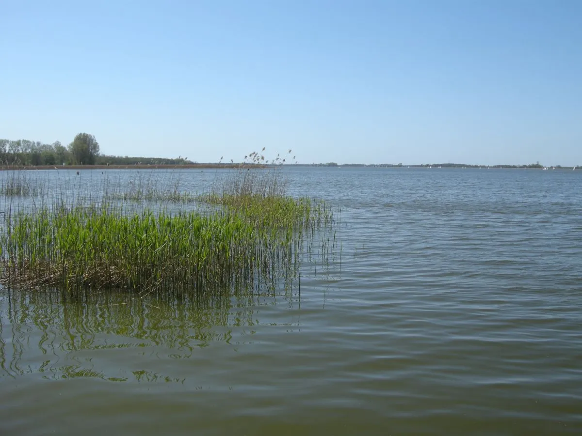 Zdjęcie Jezioro Berzyńskie: Idealne miejsce na wędkowanie i relaks w naturze