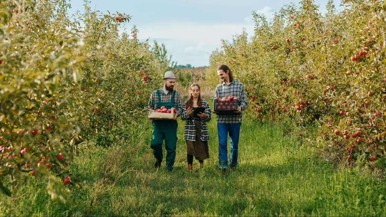 Zdjęcie Jaki nawóz do sadu na wiosnę, aby uniknąć słabych plonów?