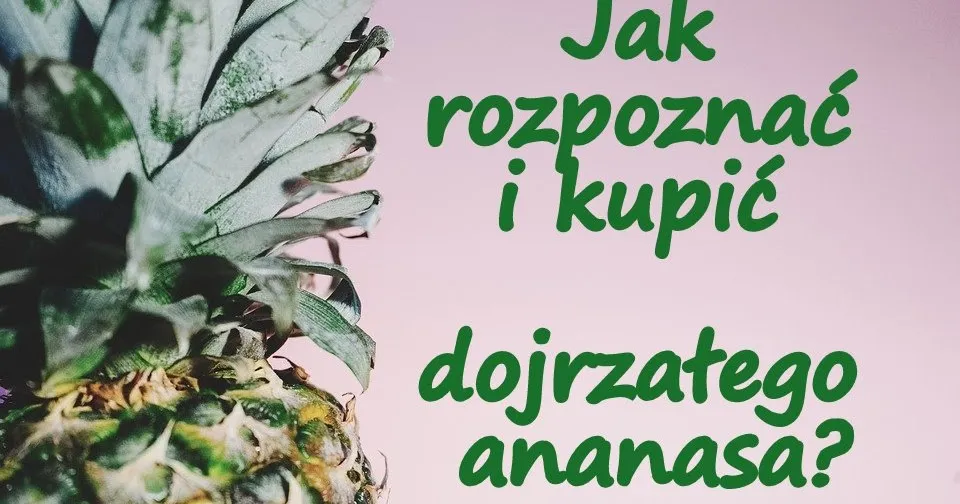Zdjęcie Kiedy jest sezon na ananasa? Sprawdź najlepsze miesiące na zakupy