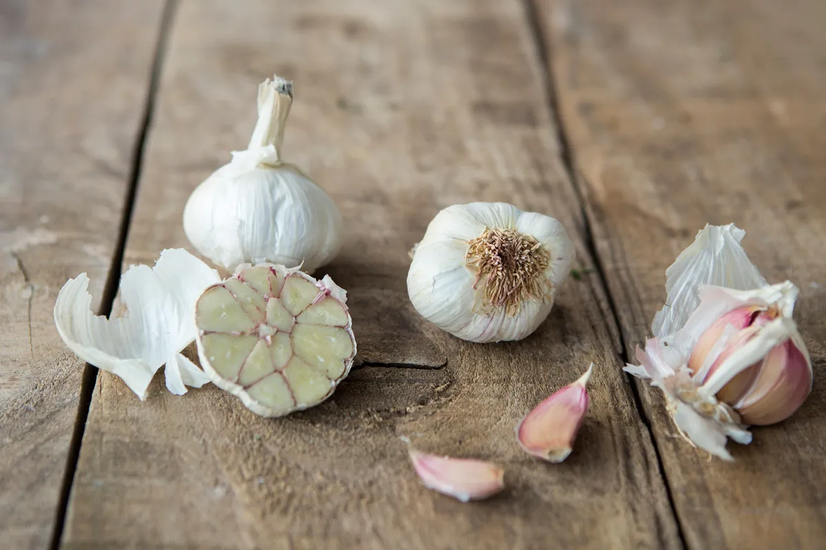 Zdjęcie Adiós a los hongos genitales: Tratamiento sin receta y cuándo consultar