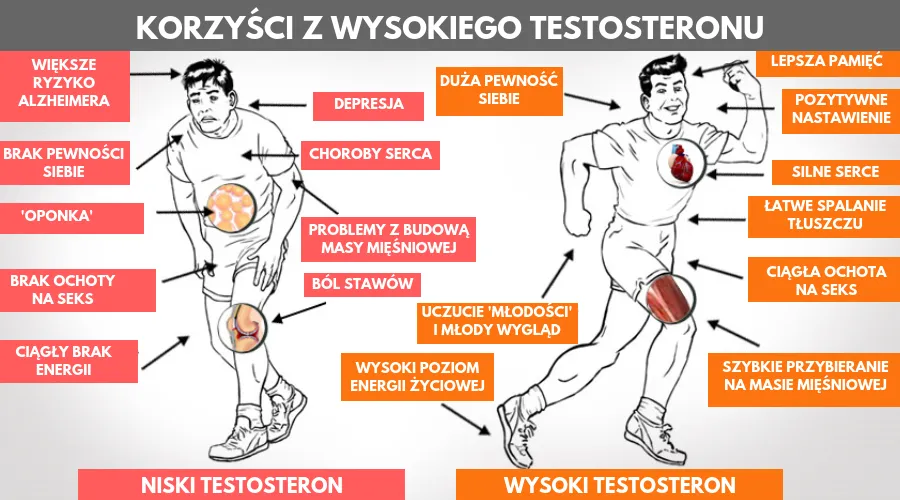 Zdjęcie Podwyższony poziom testosteronu objawy - co musisz wiedzieć o skutkach