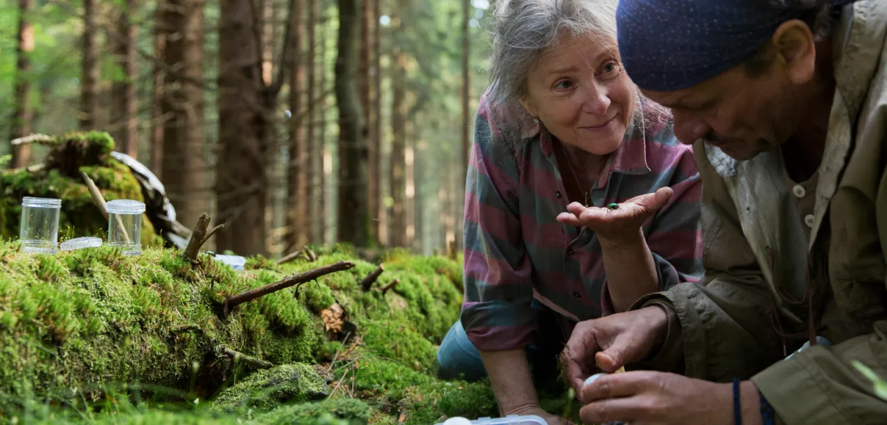 Zdjęcie Agnieszka Holland stworzy nowy film według powieści Olgi Tokarczuk