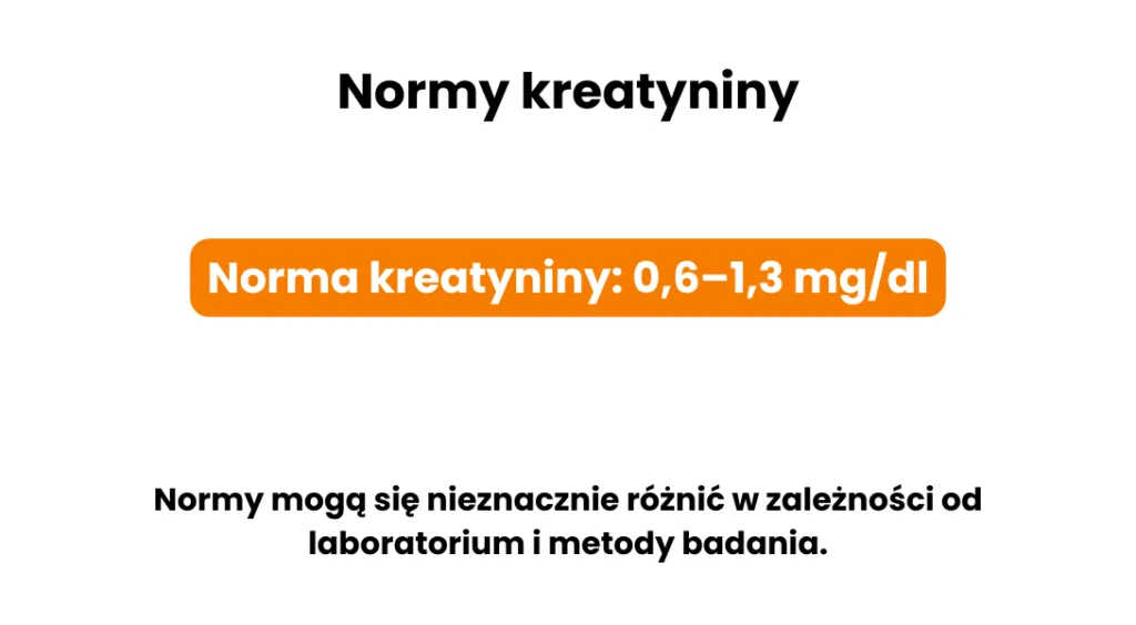 Zdjęcie Badanie kreatyniny: co to jest i jak wpływa na zdrowie nerek