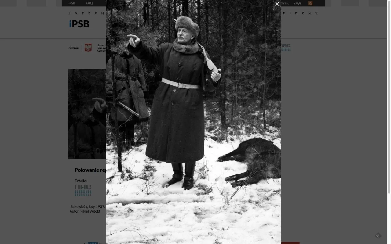 Zdjęcie Polski słownik biograficzny online - odkryj historie znanych Polaków
