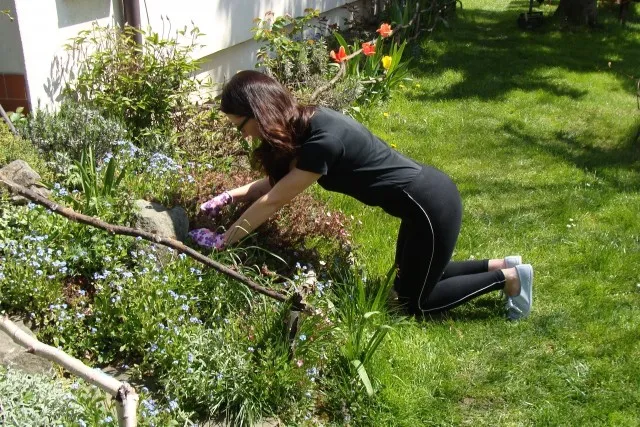 Zdjęcie Kiedy przekopać działkę na wiosnę, aby uniknąć błędów w ogrodzie