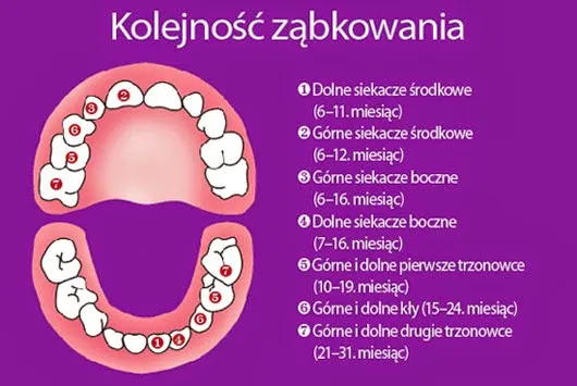 Zdjęcie Objawy ząbkowania trójek u dzieci – jak złagodzić ból i rozdrażnienie