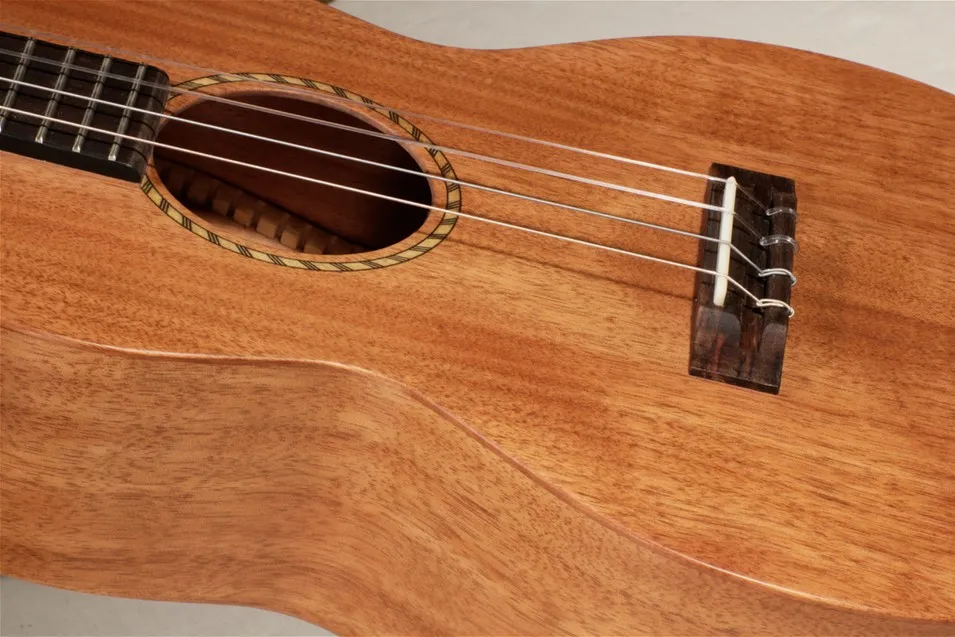 Zdjęcie Ile naprawdę kosztuje dobre ukulele? Porównanie cen i porady dla kupujących