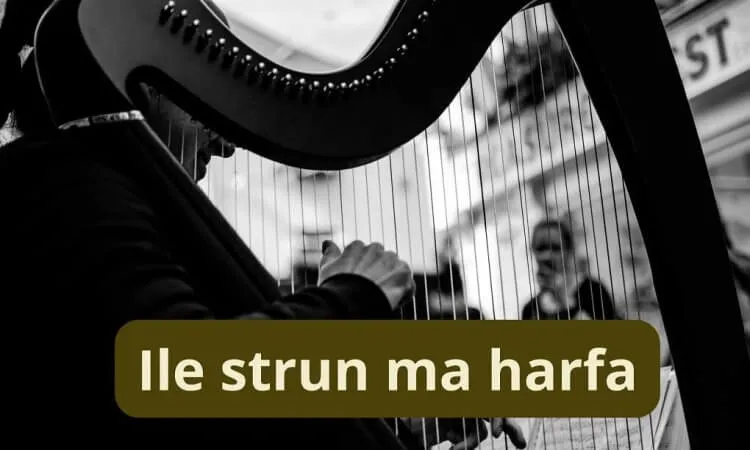Zdjęcie Liczba strun w harfie - fascynujące różnice między popularnymi typami