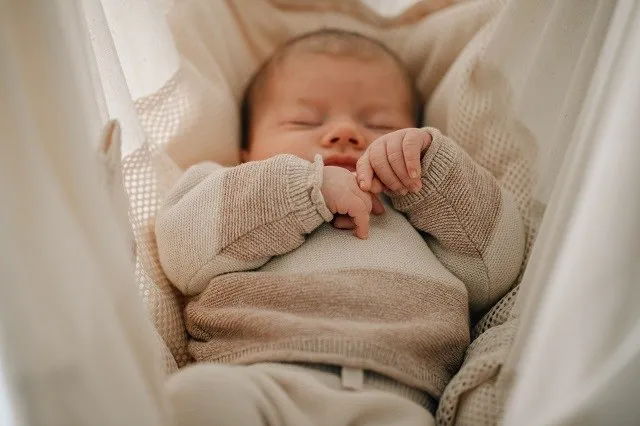 Zdjęcie Der perfekte Federwiege Motor: Funktionen, Vorteile und Vergleiche