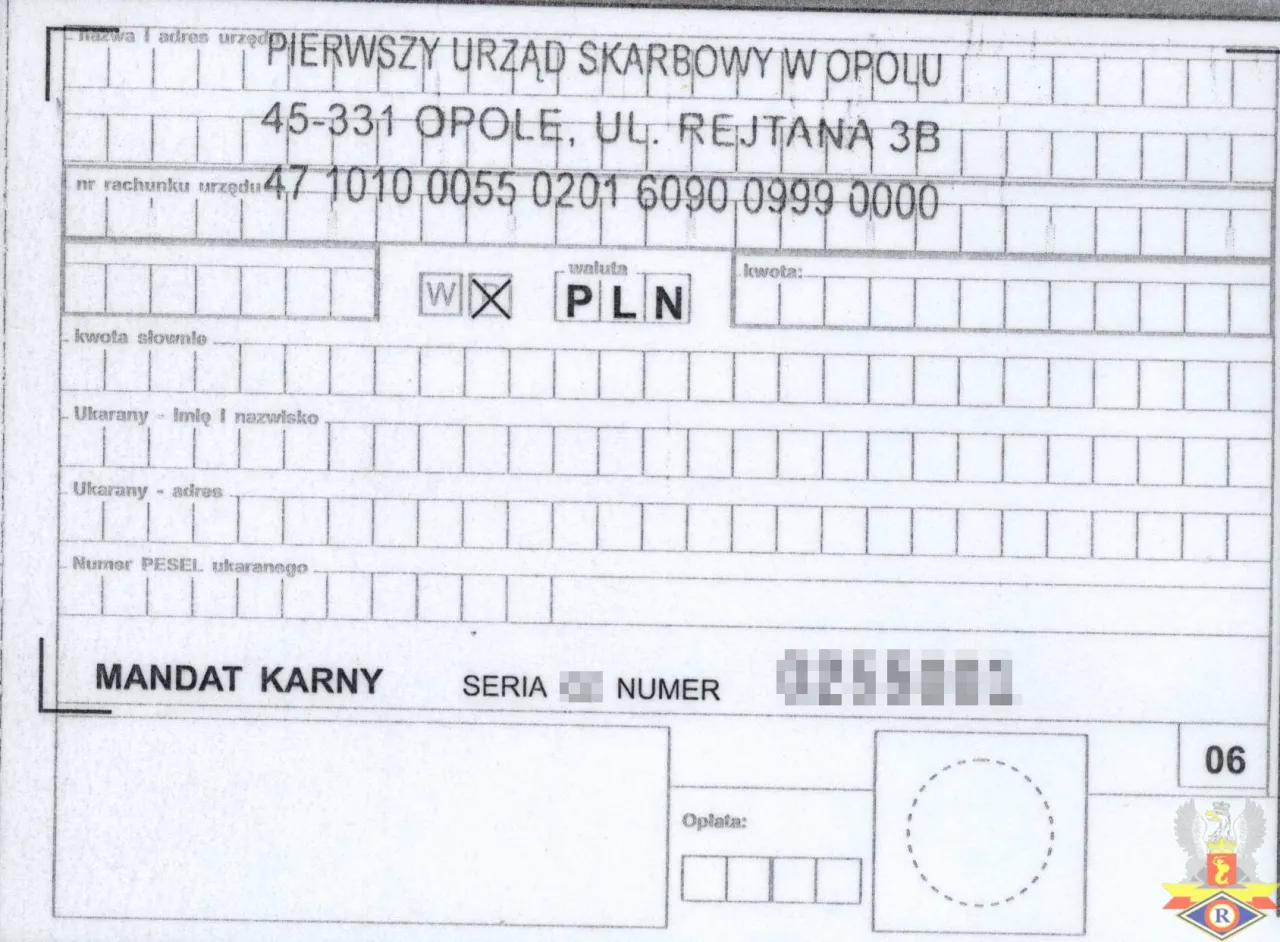Zdjęcie Jaki symbol ma mandat karny? Zrozum, jak uniknąć kłopotów z płatnościami