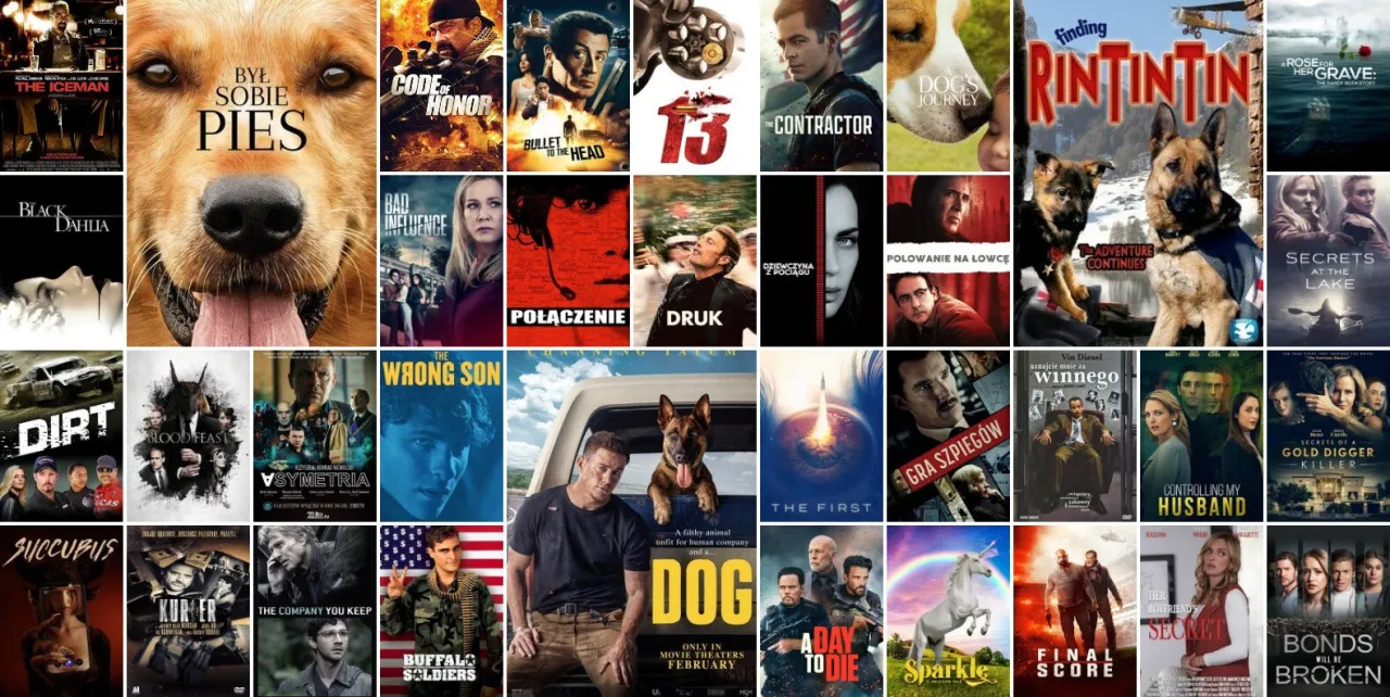 Zdjęcie Najlepsze filmy na CDA w 2025 roku - sprawdź ranking!