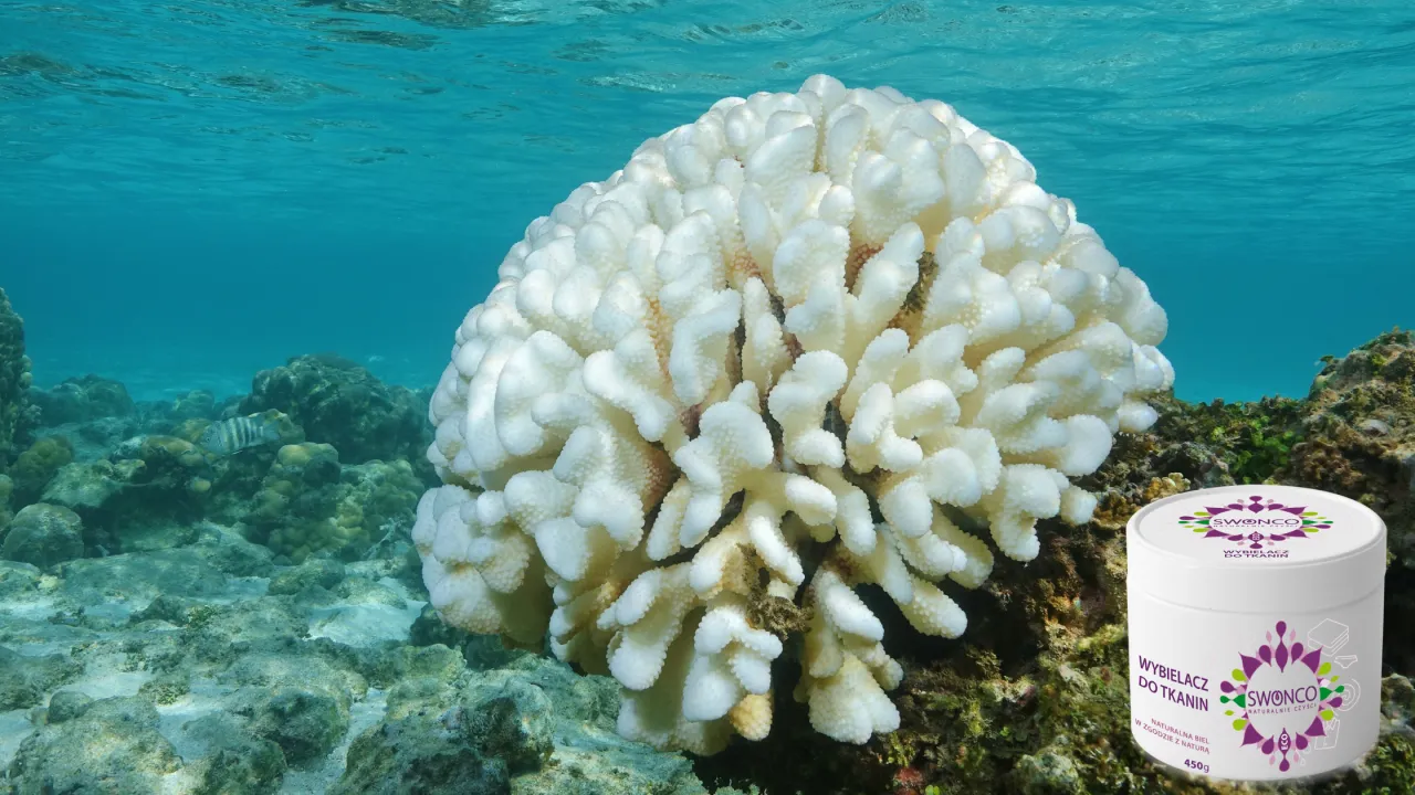 Zdjęcie Jaki wybielacz wybrać? Skuteczne porady i najlepsze produkty