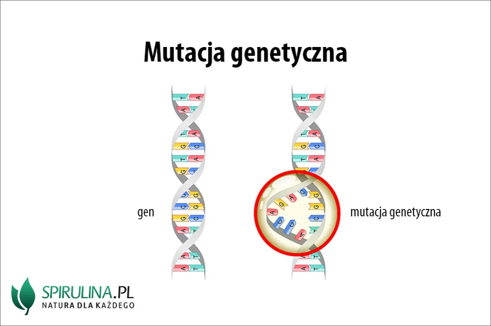Zdjęcie Mutacje zmiany sensu: jak wpływają na zdrowie i funkcjonowanie organizmu