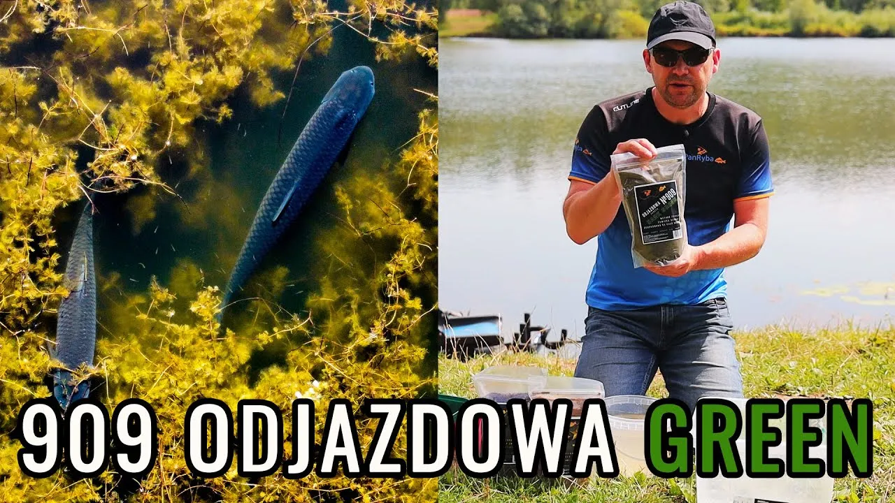 Zdjęcie Najlepsze zanęty Pan Ryba - skuteczne rozwiązania na każdą rybę