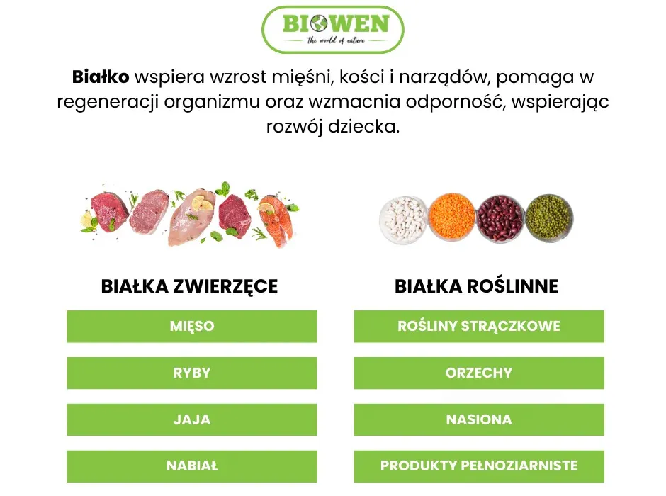 Zdjęcie Co zawiera białko roślinne? Odkryj najlepsze źródła w diecie