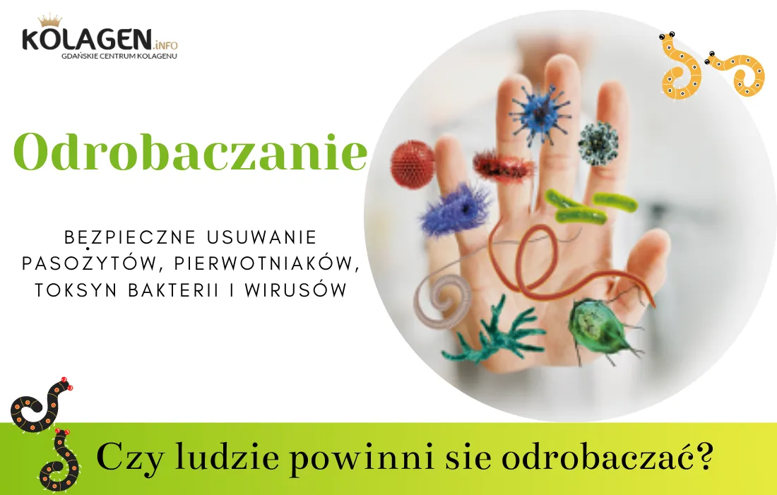 Zdjęcie Objawy odrobaczania: Co musisz wiedzieć o skutkach ubocznych
