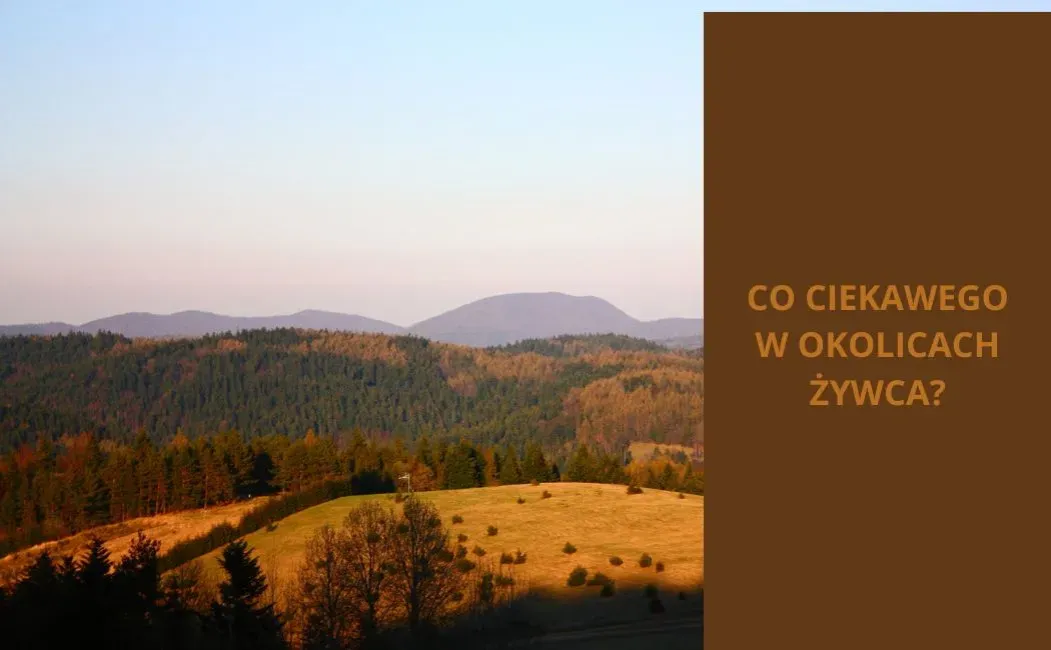 Zdjęcie Atrakcje w Żywcu: Odkryj najpiękniejsze miejsca i przygody