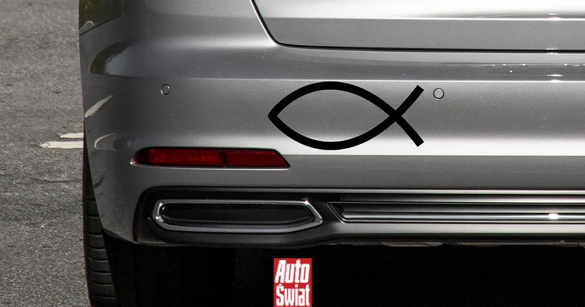 Zdjęcie Co oznacza symbol ryby? Odkryj jego głębokie znaczenie w chrześcijaństwie