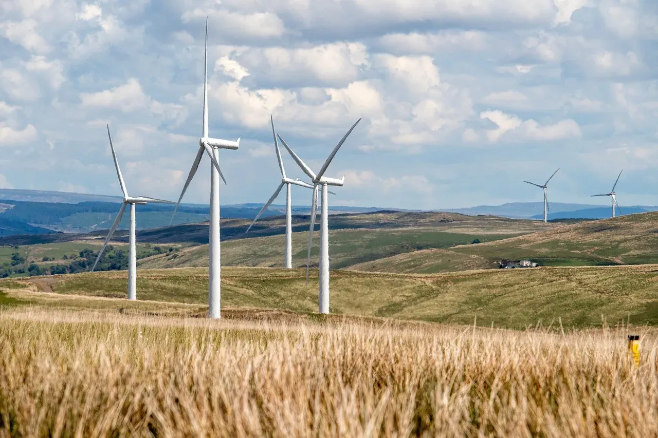 Zdjęcie Energia wiatrowa w Polsce: Kluczowe zmiany i przyszłość sektora