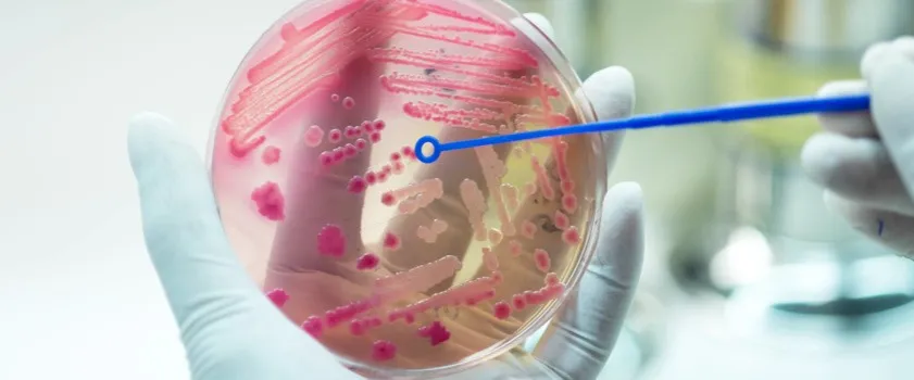 Zdjęcie Ile zakażeń w Niemczech dzisiaj? Najnowsze niepokojące dane