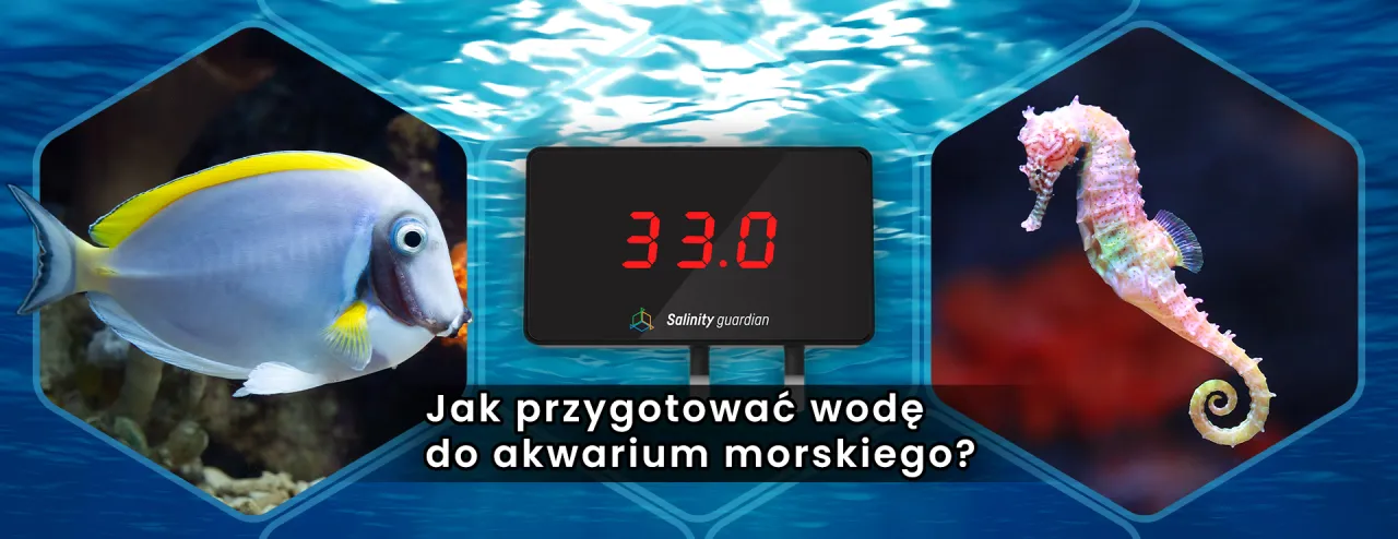 Zdjęcie Ile TDS w akwarium: Jak uniknąć problemów z jakością wody?