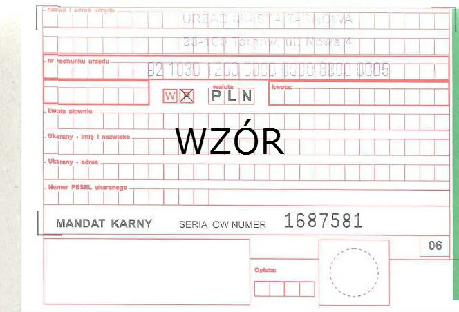 Zdjęcie Symbol płatności za mandat karny: jak znaleźć i zrozumieć kody