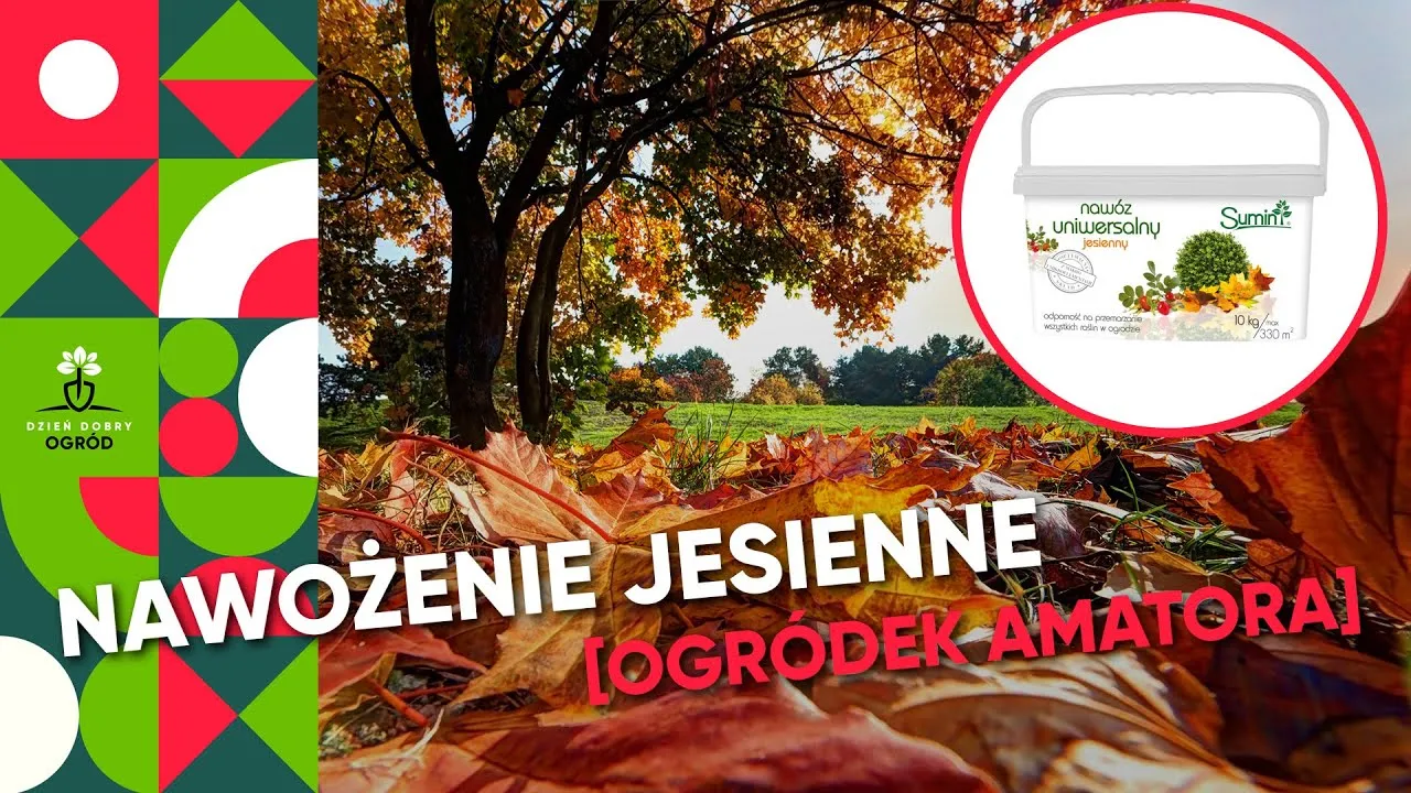 Zdjęcie Kiedy sypać nawóz jesienny, aby nie stracić zdrowych roślin