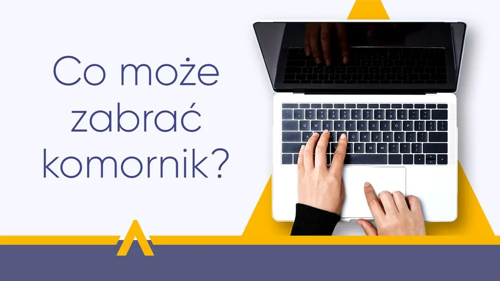 Zdjęcie Co może zabrać komornik osobie niepełnosprawnej? Ochrona przed zajęciem