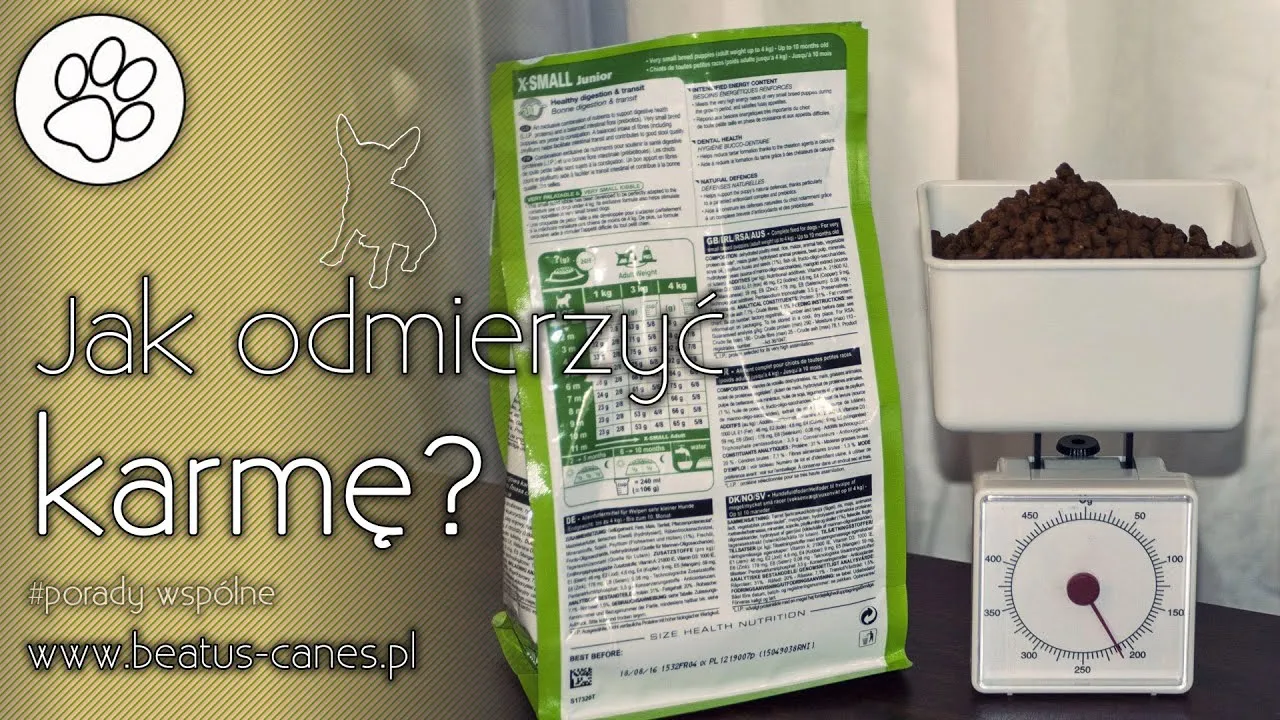 Zdjęcie Ile waży 1 łyżka suchej karmy dla psa? Zaskakujące fakty o porcjach