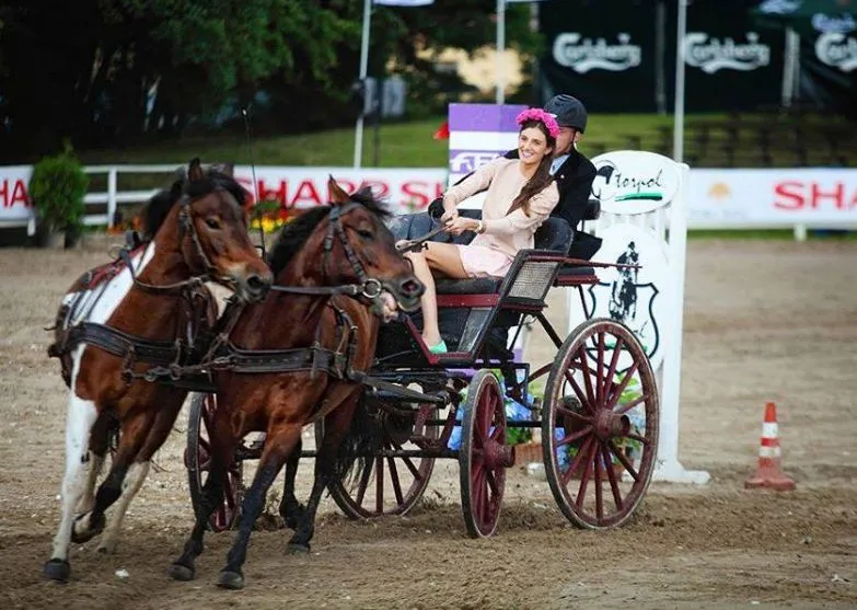Zdjęcie Stadnina koni Ferensteinów – historia, usługi i wyjątkowe wydarzenia