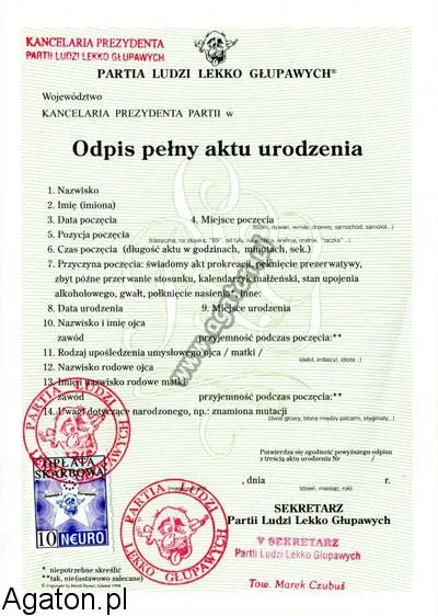 Zdjęcie Jak szybko i łatwo zdobyć odpis aktu urodzenia bez kolejek i stresu