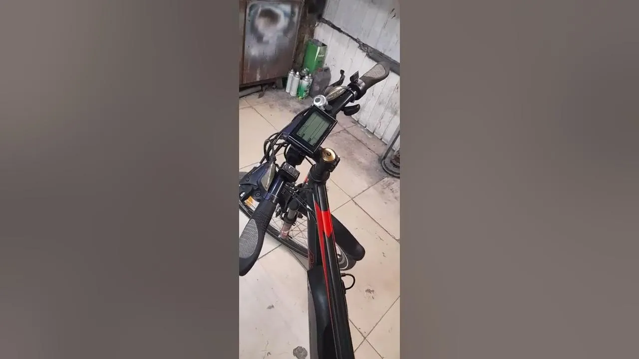 Zdjęcie Jak odblokować rower elektryczny Gazelle i uniknąć frustracji