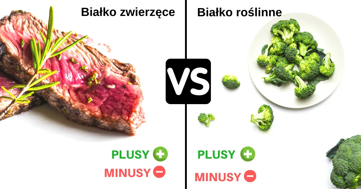 Zdjęcie Gdzie jest białko roślinne i jak je łatwo wprowadzić do diety