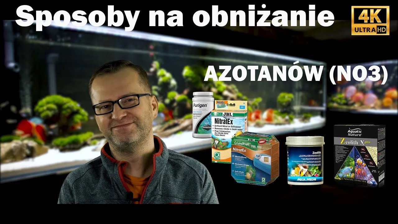 Zdjęcie Jak obniżyć azotany w akwarium i poprawić zdrowie ryb