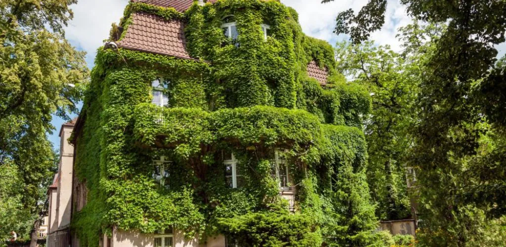 Zdjęcie Uniwersytet medyczny im Piastów Śląskich we Wrocławiu – oferta i historia