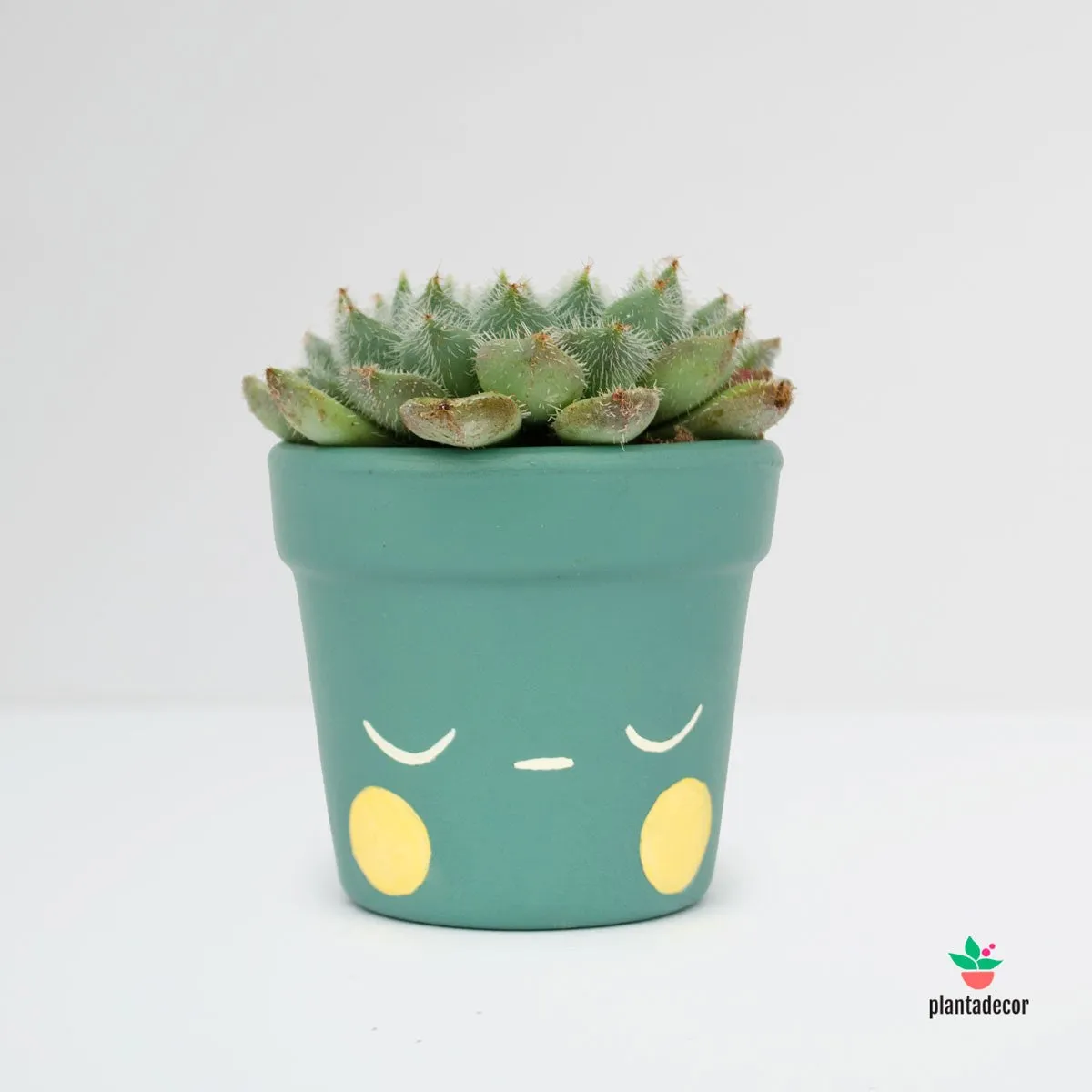 Zdjęcie Maceta carita: alegra tu hogar con estas macetas divertidas y únicas