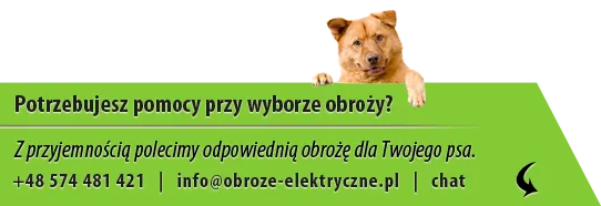 Zdjęcie Jak działa obroża przeciw szczekaniu i czy naprawdę pomaga psom?