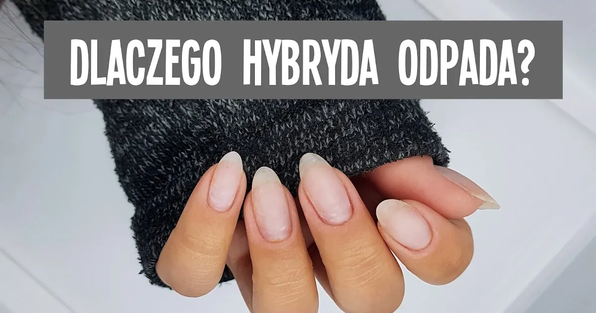 Zdjęcie Dlaczego odpadają hybrydy? 5 najczęstszych przyczyn i rozwiązania
