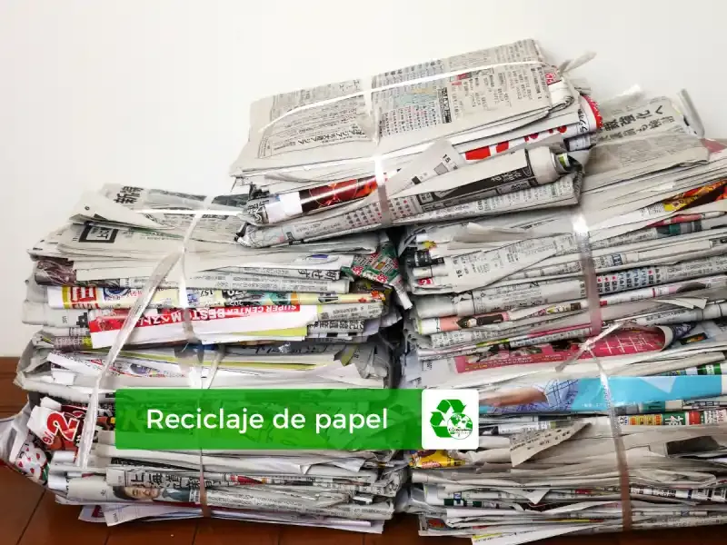 Zdjęcie Cómo fabricar papel reciclado en casa y contribuir al medio ambiente