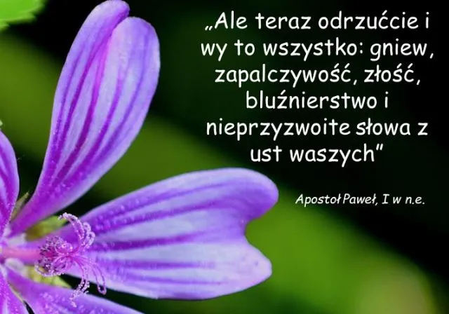 Zdjęcie Czy przeklinanie to grzech? Zrozumienie moralnych konsekwencji