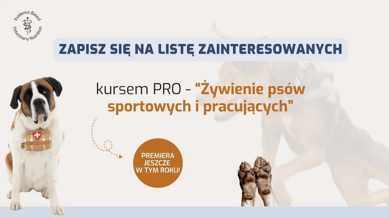 Zdjęcie Czy psy mogą jeść ser biały: Bezpieczne porcje i zasady karmienia pupila