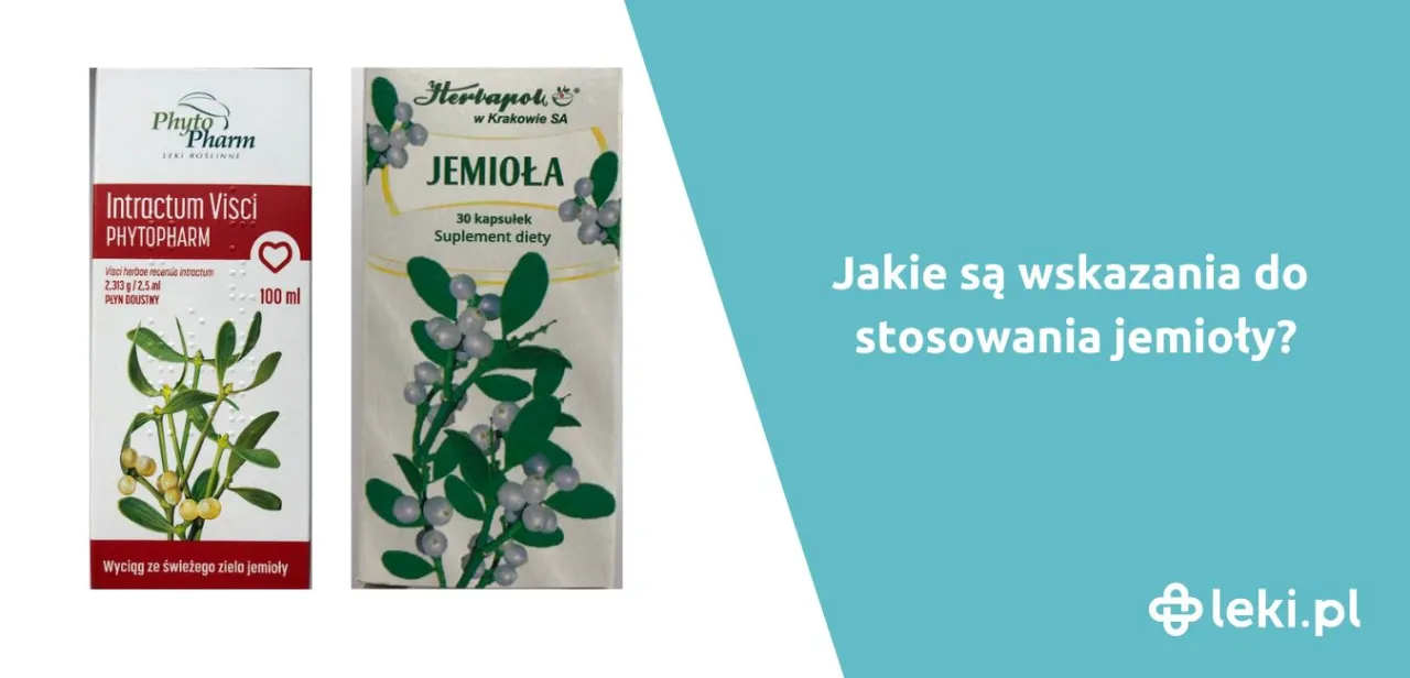 Zdjęcie Jak zrobić napar z jemioły i cieszyć się jego zdrowotnymi właściwościami