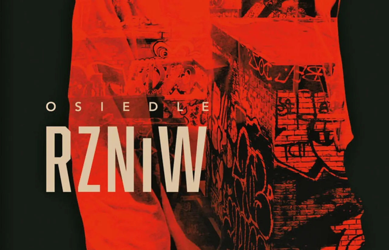 Zdjęcie Osiedle RZNiW - co to znaczy i jakie ma znaczenie w literaturze?