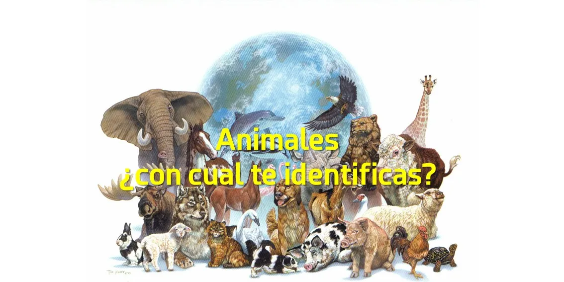 Zdjęcie ¿Con qué animal te identificas en psicología y qué revela de ti?