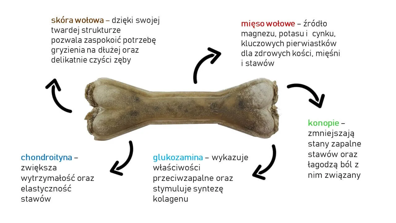 Zdjęcie Jakie wapno dla psa wybrać, aby zapewnić mu zdrowe kości?